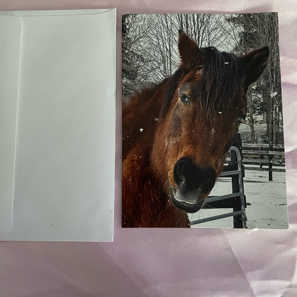 Luxury Art Postcard- “Bea” the Mare| Equine Advocate